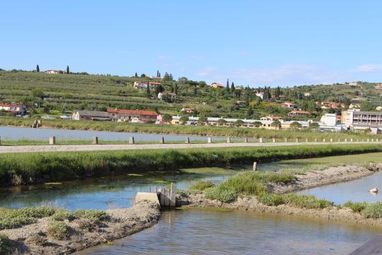 Parco Naturale delle Saline di Sicciole
